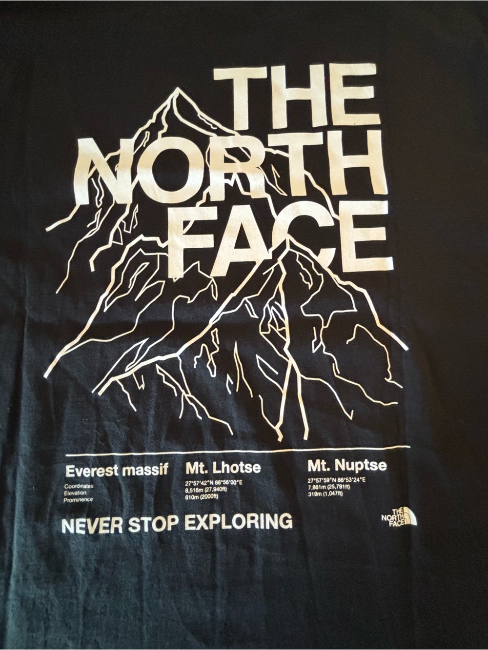 The North Face Men's Mountain Top T-Shirt in Size Large BNWT